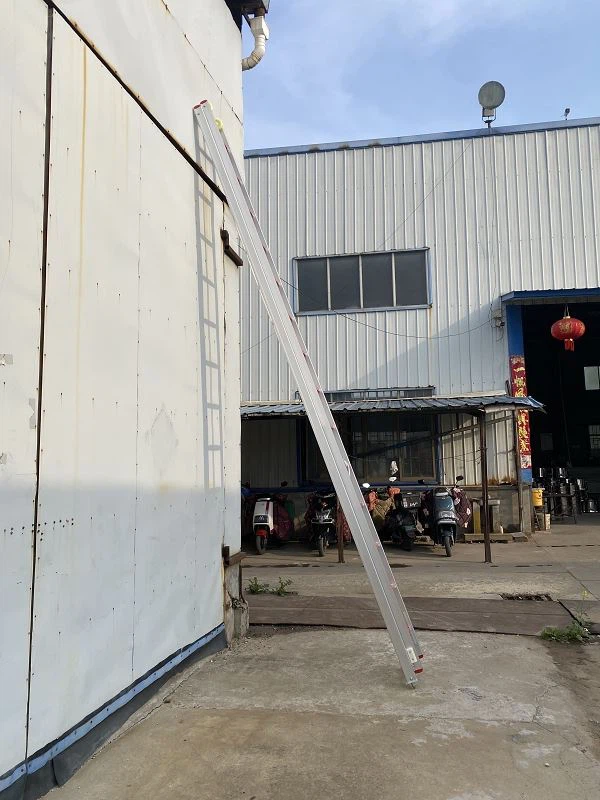 Single Straight Ladder price